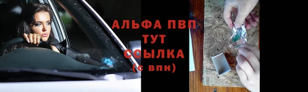 твердый Алзамай